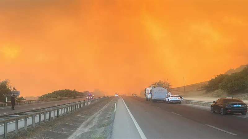 Bursa Yenişehir'de orman yangınına yoğun müdahale