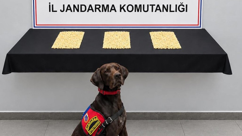 Şanlıurfa’da Narkotik Operasyon: 2.970 Captagon Hap Ele Geçirildi
